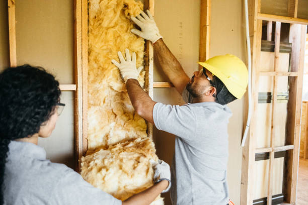 Trusted Zelienople, PA Insulation Services Experts